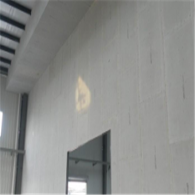 略阳宁波ALC板|EPS加气板隔墙与混凝土整浇联接的实验研讨